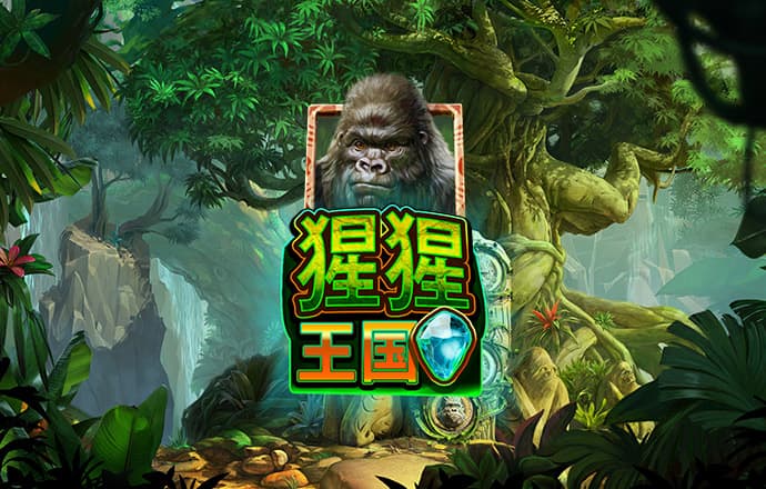 ng娱乐